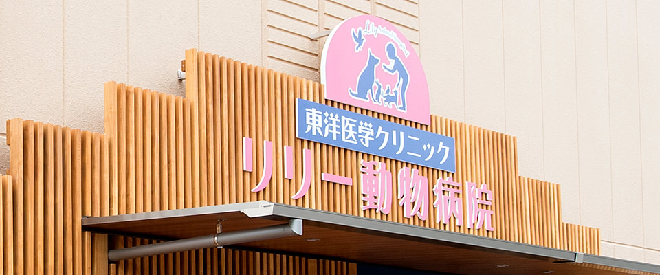 リリー動物病院 東洋医学クリニック 名古屋市昭和区 東洋医学 代替医療でペットを治療 総合医療 鍼灸 リハビリ 犬 猫 兎対象