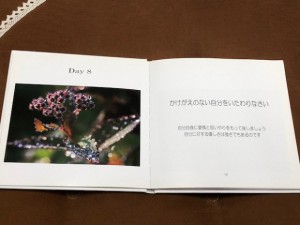 堀田先生から頂いた本