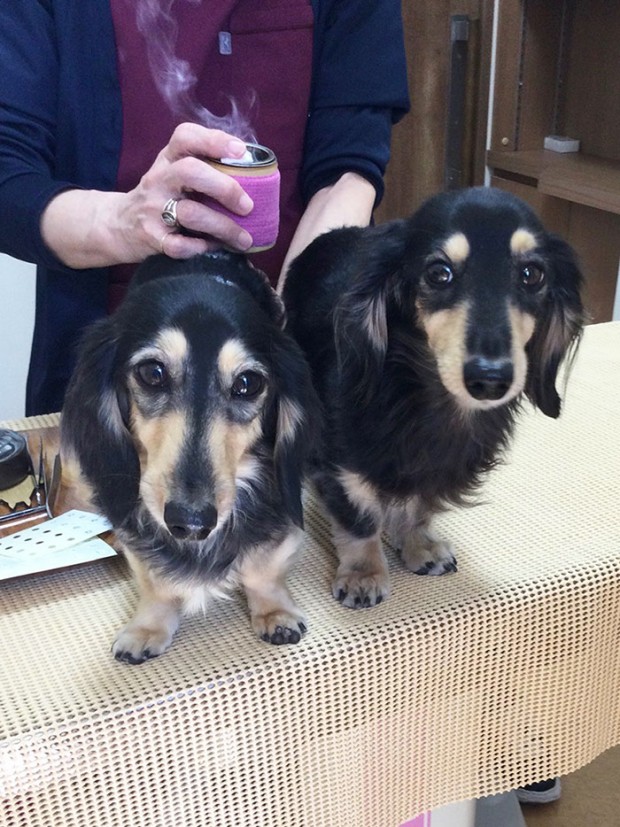 RUMY(ルミィ)ちゃん