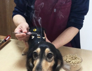 RUMY（ルミィ）ちゃん