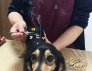 RUMY(ルミィ)ちゃん